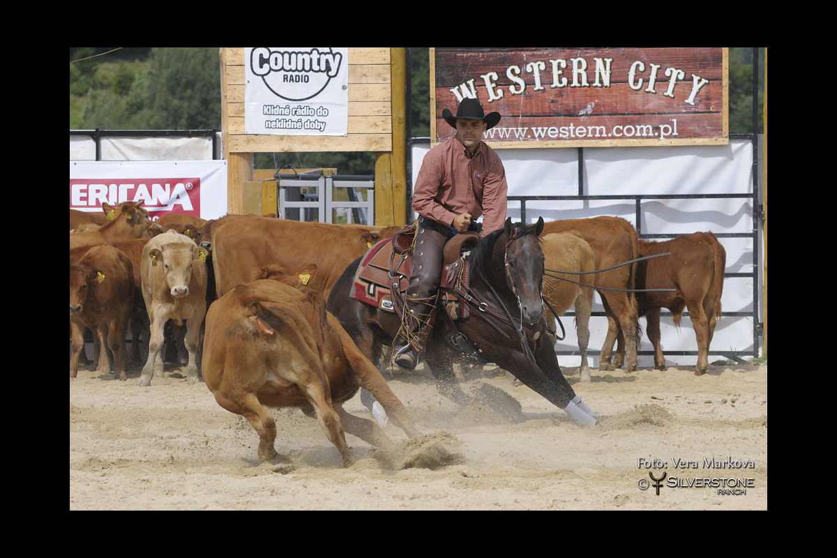 Slide 0